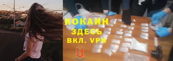 эйфоретик Арсеньев